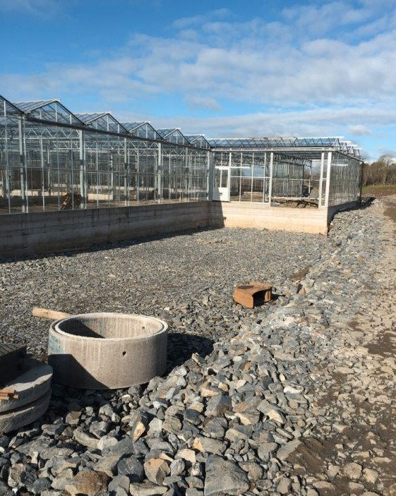 Greenhouse building in Northern Ireland Tandragee