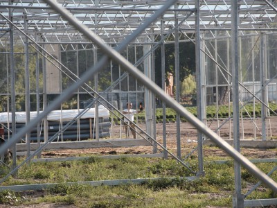 00008 Lochristi Belgie Kassenbouw Olsthoorn Greenhouse