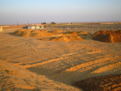 01 Greenhouse Egypte Cairo