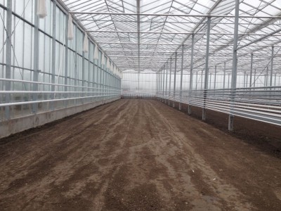 00038 Szentes Hongarije Olsthoorn