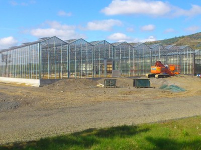 00001 Selfoss IJsland Kassenbouw Olsthoorn Greenhouse Projects