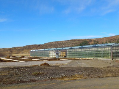 00004 Selfoss IJsland Kassenbouw Olsthoorn Greenhouse Projects