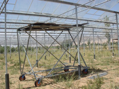 Doostwand iran Olsthoorn Greenhouse 2