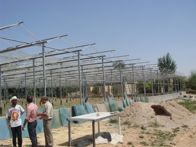 Doostwand iran Olsthoorn Greenhouse 3