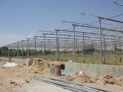 Doostwand iran Olsthoorn Greenhouse 4