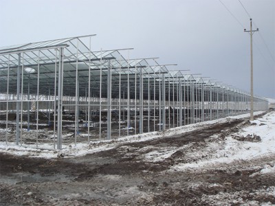 Kermanshah iran Olsthoorn Greenhouse 1