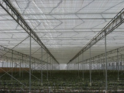 Kermanshah iran Olsthoorn Greenhouse 12