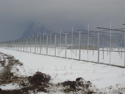 Kermanshah iran Olsthoorn Greenhouse 2