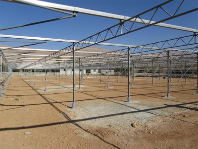 Shiraz Iran Olsthoorn Greenhouse00001