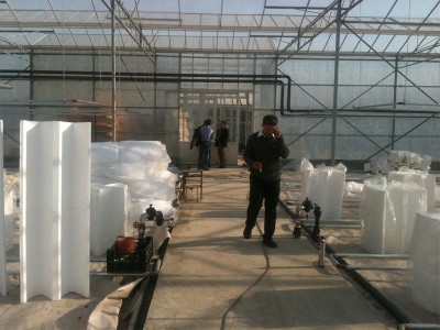 Tabriz iran Olsthoorn Greenhouse 1