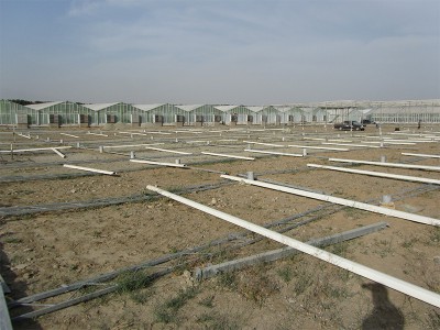 Tabriz iran Olsthoorn Greenhouse 10