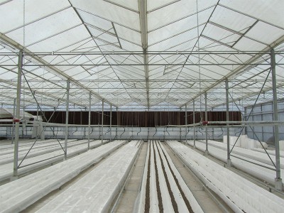 Tabriz iran Olsthoorn Greenhouse 12