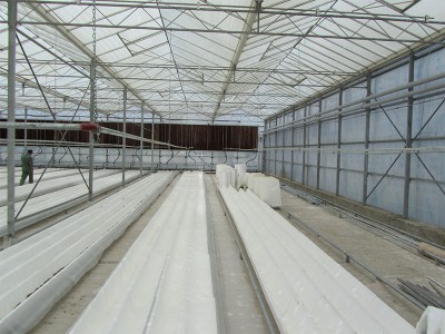 Tabriz iran Olsthoorn Greenhouse 13