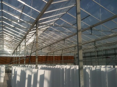 Tabriz iran Olsthoorn Greenhouse 3