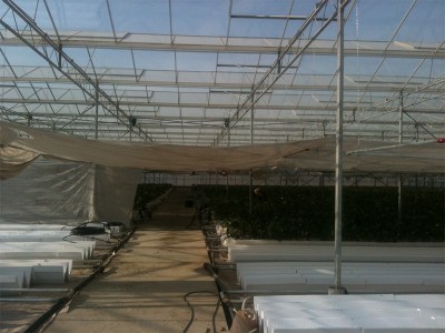 Tabriz iran Olsthoorn Greenhouse 6