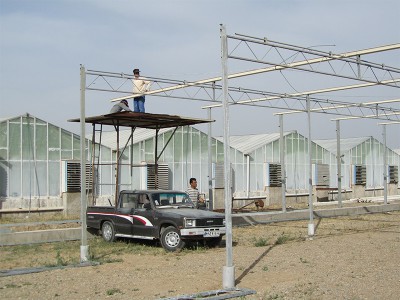 Tabriz iran Olsthoorn Greenhouse 7