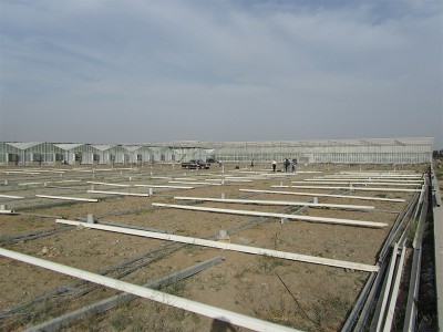 Tabriz iran Olsthoorn Greenhouse 9