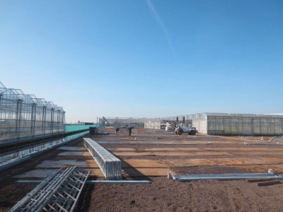 00007 Boskoop Nederland kassenbouw olsthoorn greenhouse