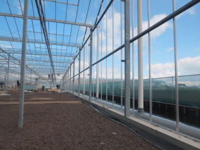 00011 Boskoop Nederland kassenbouw olsthoorn greenhouse