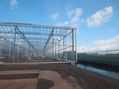 00012 Boskoop Nederland kassenbouw olsthoorn greenhouse