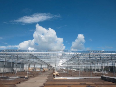 00015 Boskoop Nederland kassenbouw olsthoorn greenhouse