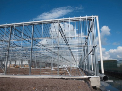 00017 Boskoop Nederland kassenbouw olsthoorn greenhouse