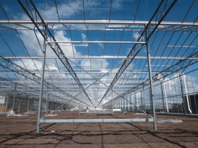 00018 Boskoop Nederland kassenbouw olsthoorn greenhouse