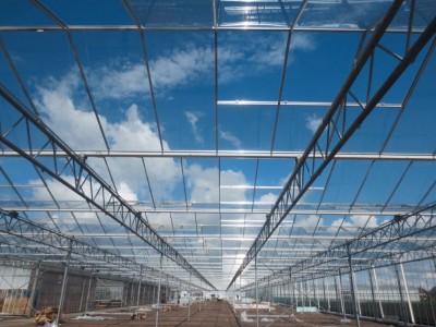 00019 Boskoop Nederland kassenbouw olsthoorn greenhouse