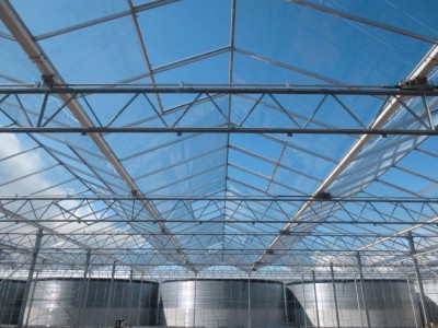 00020 Boskoop Nederland kassenbouw olsthoorn greenhouse