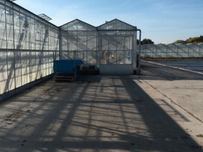 00001 Tandragee Northern Ireland Kassenbouw Olsthoorn Greenhouse Projects