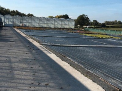 00002 Tandragee Northern Ireland Kassenbouw Olsthoorn Greenhouse Projects