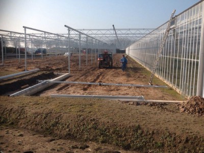 00013 Tandragee Northern Ireland Kassenbouw Olsthoorn Greenhouse Projects