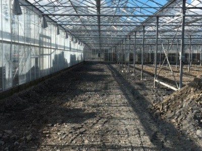 00015 Tandragee Northern Ireland Kassenbouw Olsthoorn Greenhouse Projects