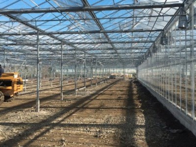 00017 Tandragee Northern Ireland Kassenbouw Olsthoorn Greenhouse Projects