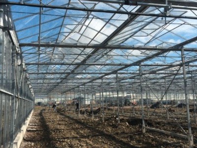 00018 Tandragee Northern Ireland Kassenbouw Olsthoorn Greenhouse Projects