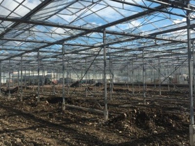 00019 Tandragee Northern Ireland Kassenbouw Olsthoorn Greenhouse Projects