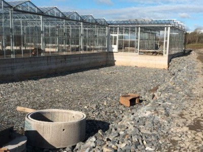 00020 Tandragee Northern Ireland Kassenbouw Olsthoorn Greenhouse Projects