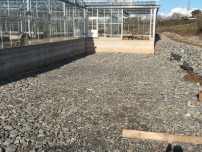 00021 Tandragee Northern Ireland Kassenbouw Olsthoorn Greenhouse Projects