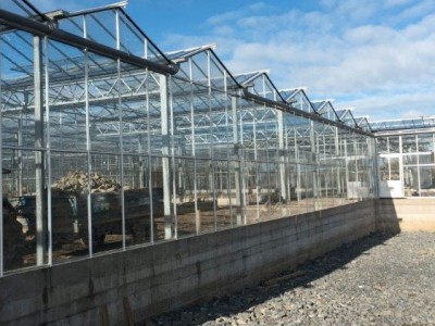 00022 Tandragee Northern Ireland Kassenbouw Olsthoorn Greenhouse Projects