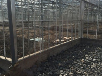 00024 Tandragee Northern Ireland Kassenbouw Olsthoorn Greenhouse Projects