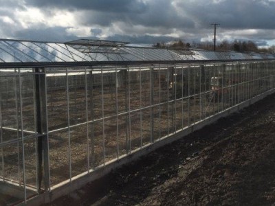 00026 Tandragee Northern Ireland Kassenbouw Olsthoorn Greenhouse Projects