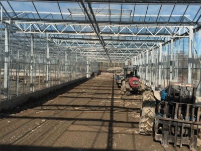 00027 Tandragee Northern Ireland Kassenbouw Olsthoorn Greenhouse Projects