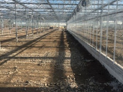 00029 Tandragee Northern Ireland Kassenbouw Olsthoorn Greenhouse Projects