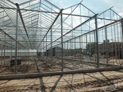 00002 Belsk Duzy Polen kassenbouw olsthoorn greenhouse