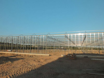 00004 Belsk Duzy Polen kassenbouw olsthoorn greenhouse