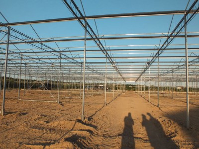 00005 Belsk Duzy Polen kassenbouw olsthoorn greenhouse