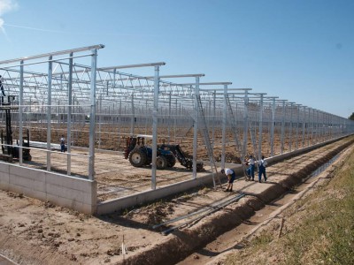 00016 Blaszki Polen kassenbouw olsthoorn greenhouse