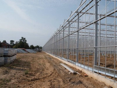 00028 Blaszki Polen kassenbouw olsthoorn greenhouse