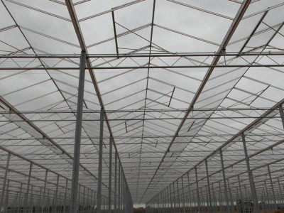 00032 Blaszki Polen kassenbouw olsthoorn greenhouse