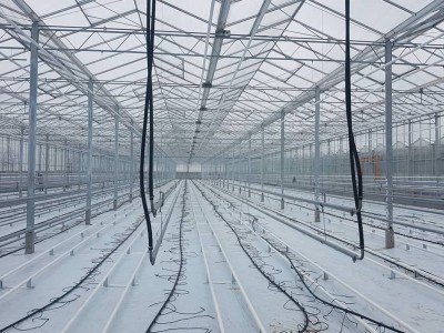 00001 Pleszew Polen kassenbouw olsthoorn greenhouse